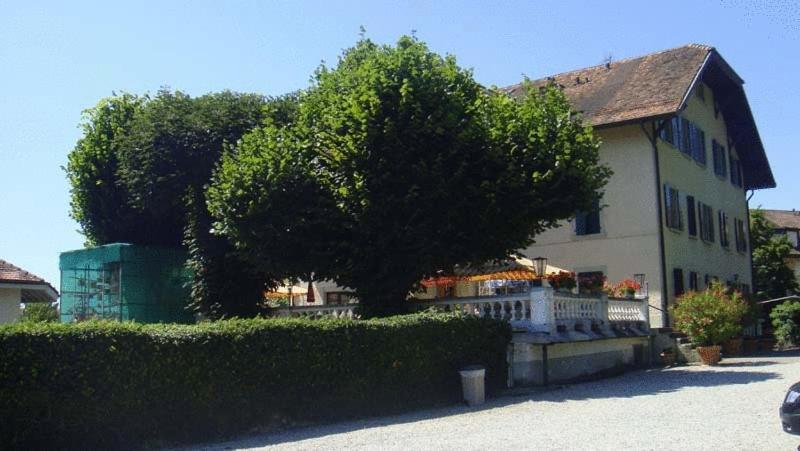 Hotel De Bahyse Blonay Zewnętrze zdjęcie